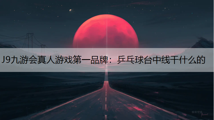 乒乓球台中线干什么的